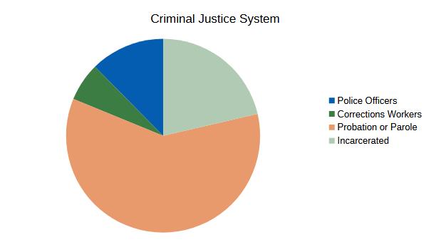 a pie graph of the criminal justice system inclusive of participants only
